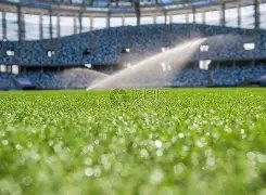 皇马国王杯,首战,险胜皇家社,BG,BG平台,BG官网,BG真人,BG百家乐,PA真人